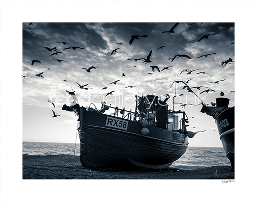 Photograph of Seagulls surrounding fishing boat on Hastings Stade. Photo of Hastings by Jon Wilhelm.